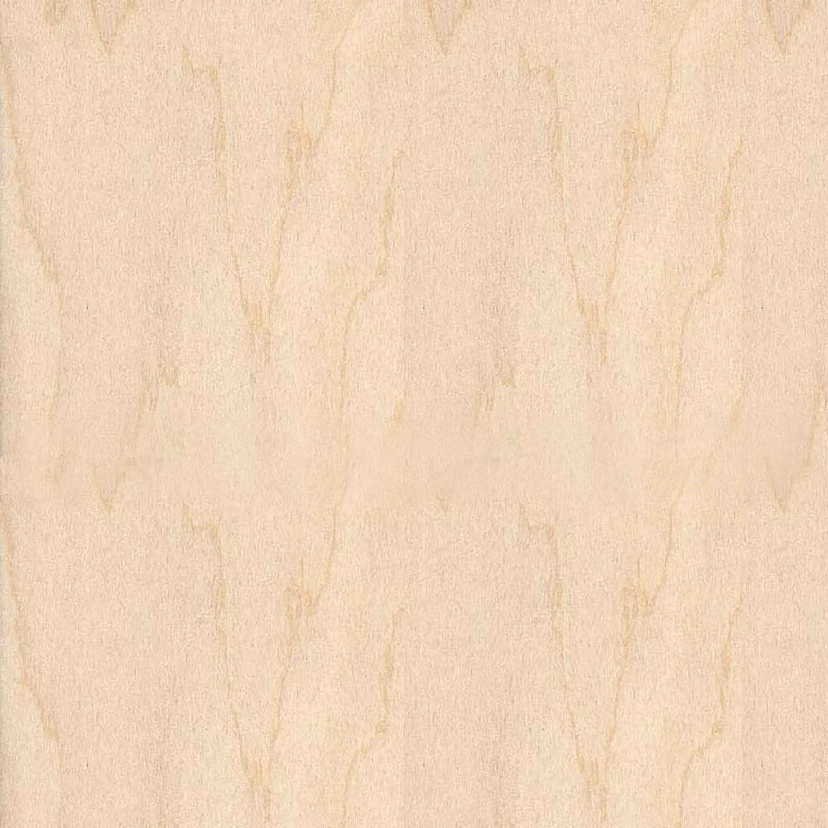 Bande de chant en merisier blanc, 13/16&#39;&#39; x 25&#39;