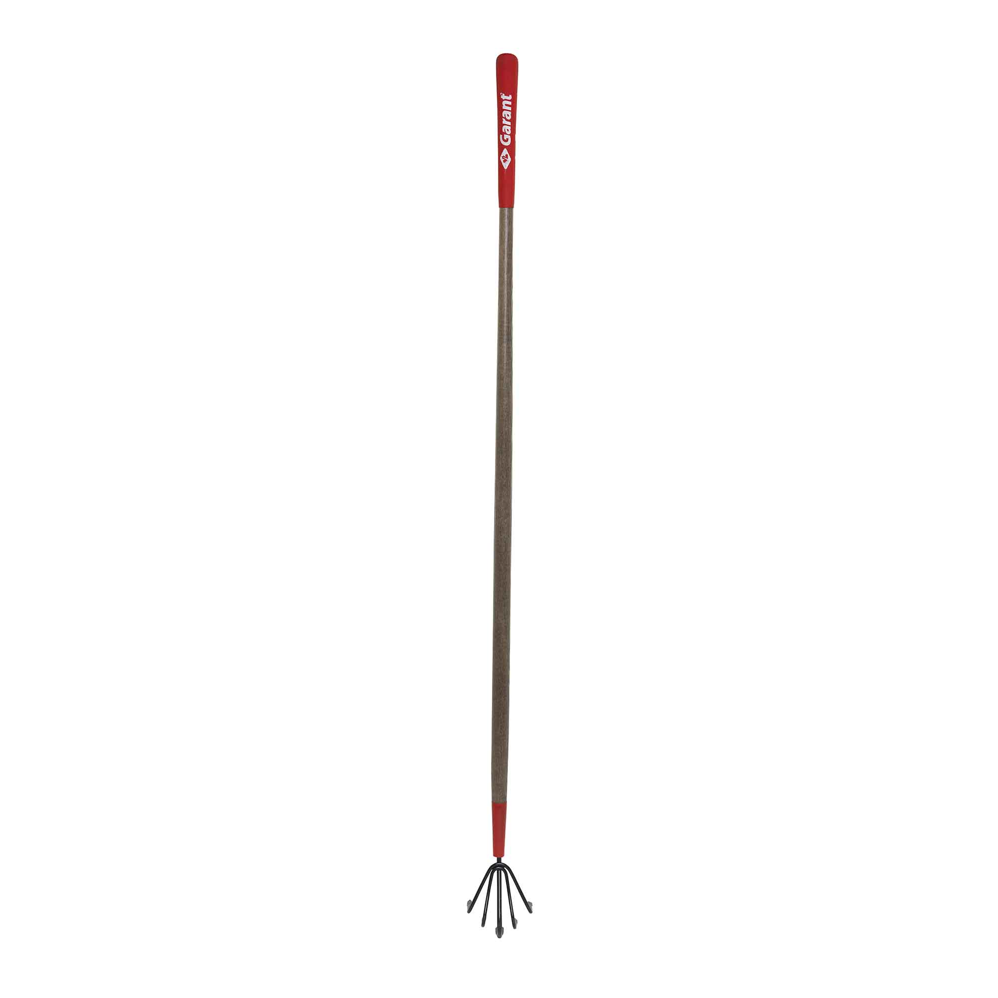 Sarcloir à 5 dents avec manche en bois dur