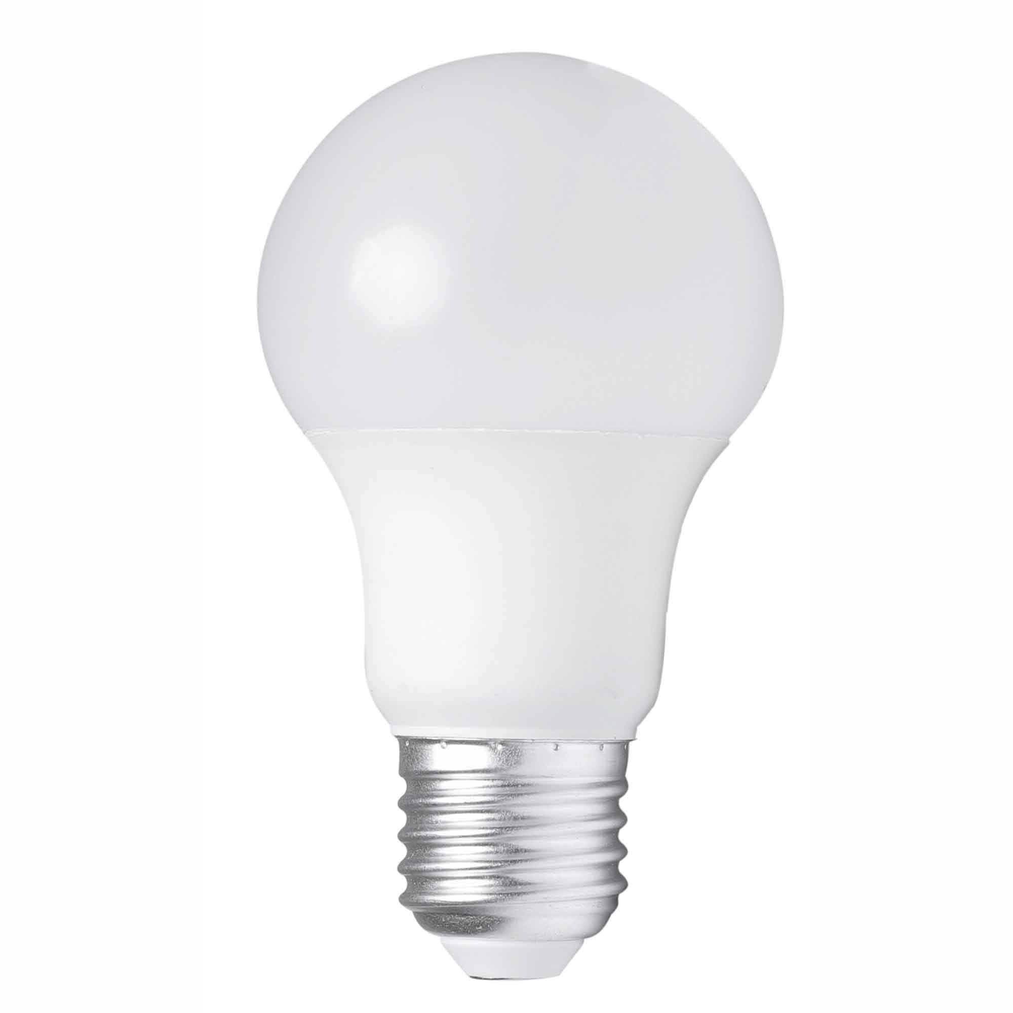 Ampoule LED haute performance A 19, 60 W (2 par paquet) 