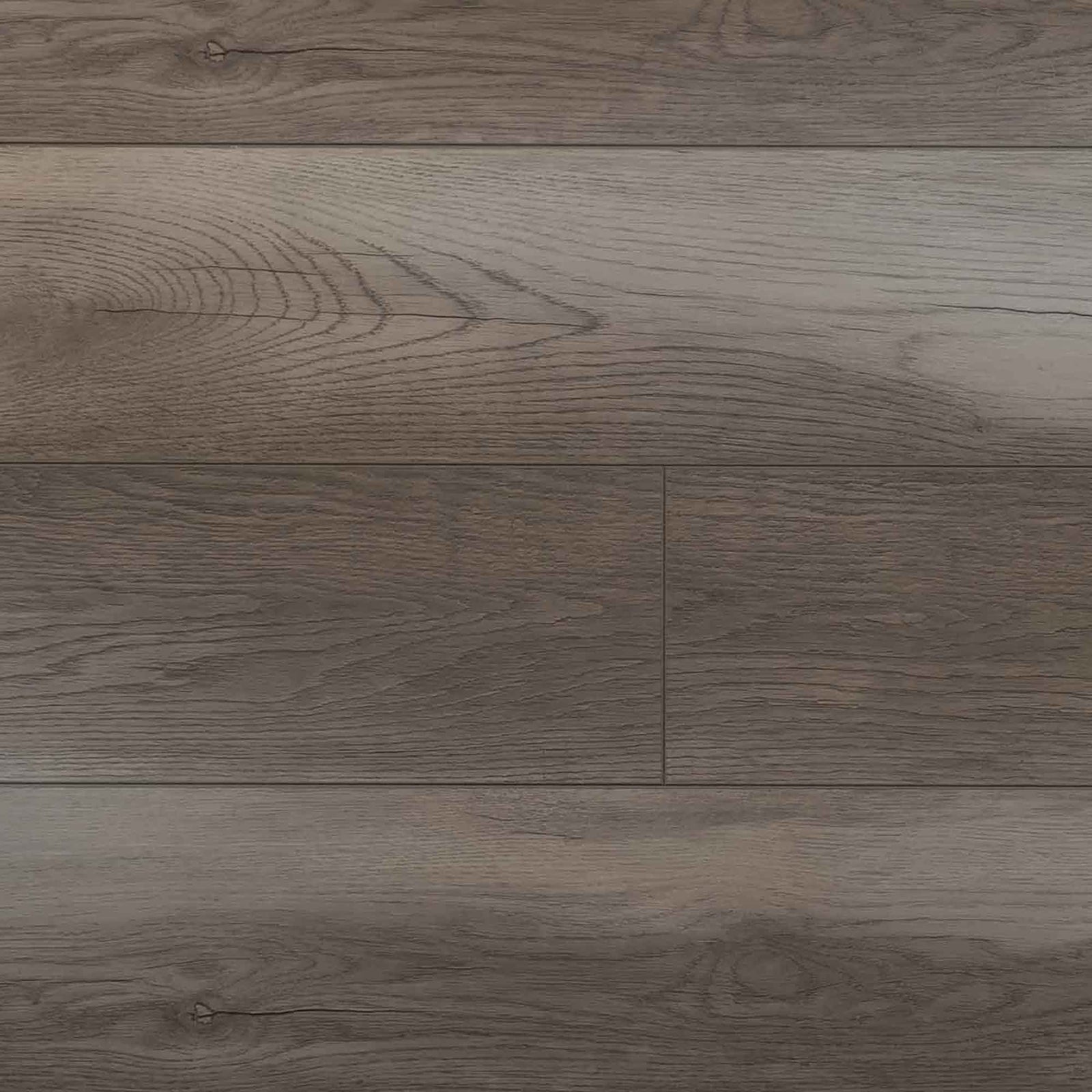 Plancher stratifié Nobel en chêne AC4 de 12 mm, chêne blanchi brossé