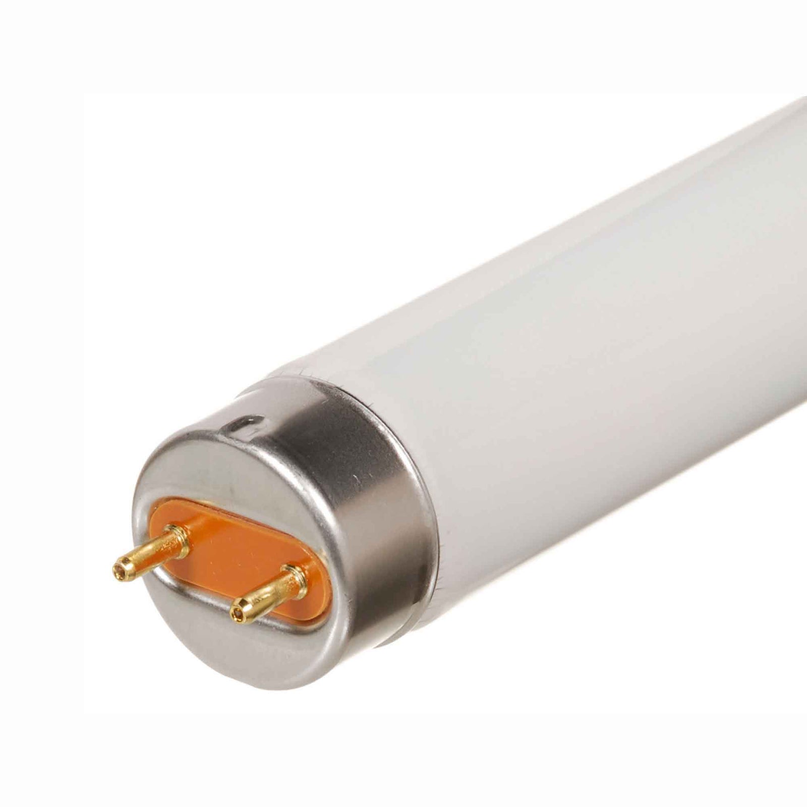 Fluorescent T8 lumière du jour 32W, 48'' (2 unités)  