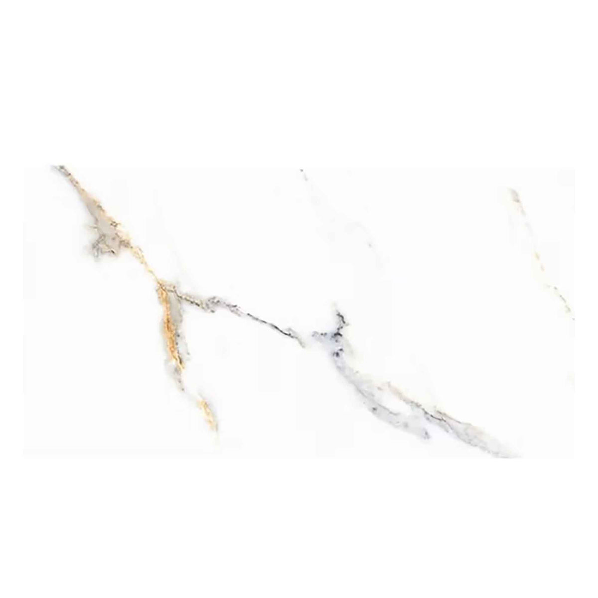 Boite de céramique, 12'' x 24'', Harmony Oro