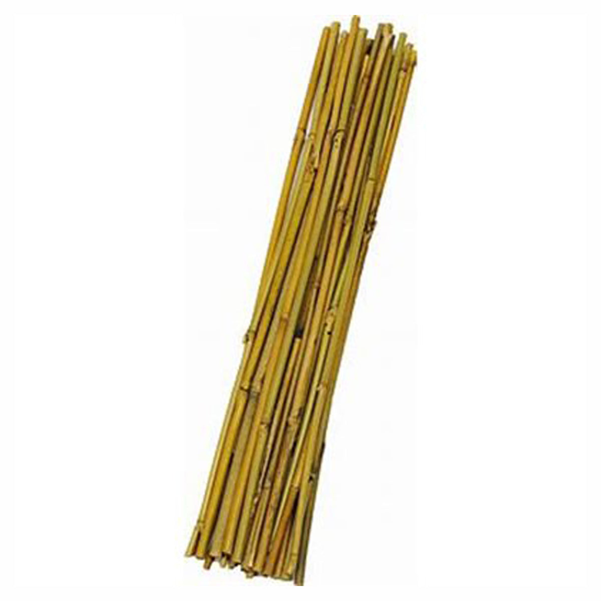 Tuteur en bambou, 1/4'' x 48'' (emballage de 15)