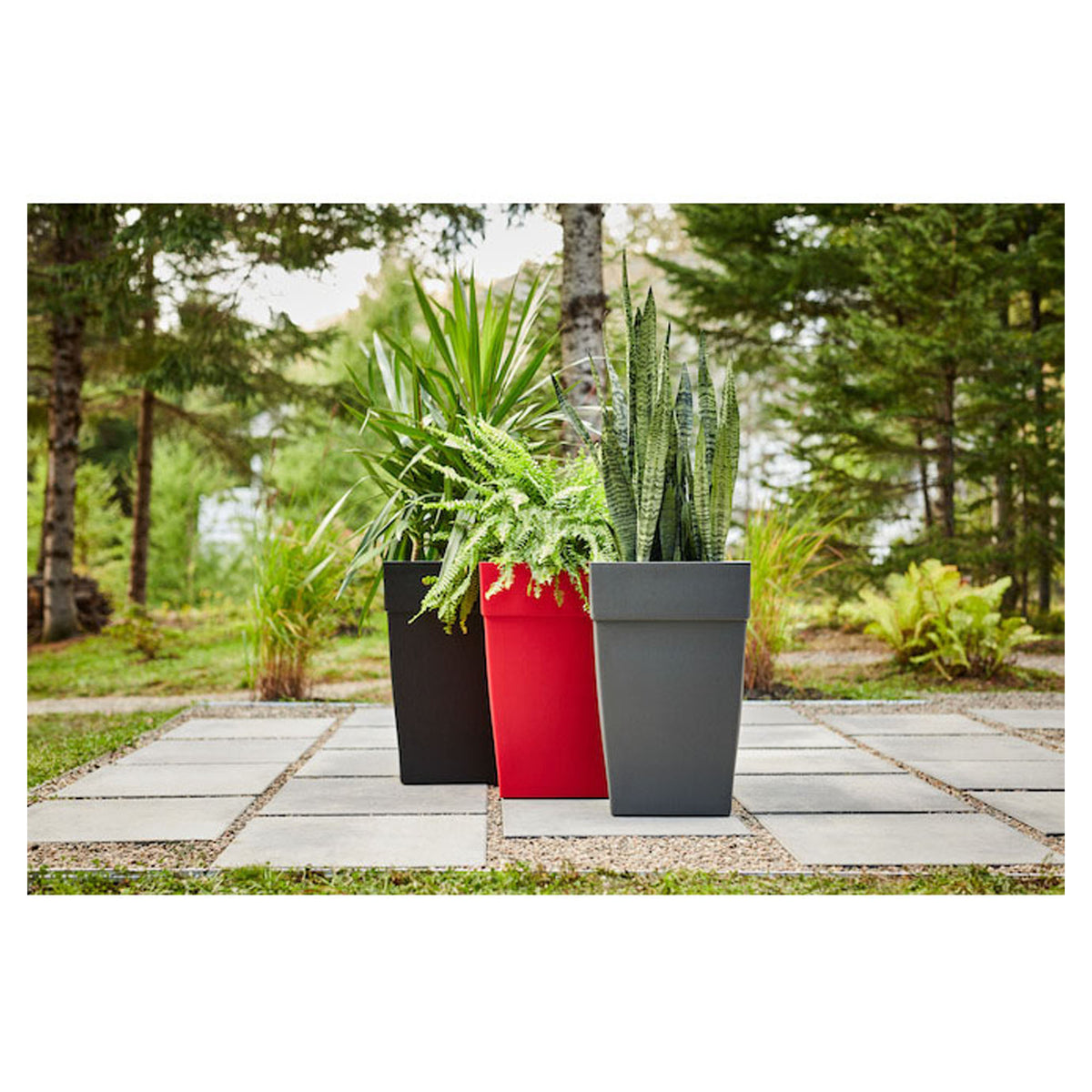 Arrangement florale dans un pot Jade, gris, pollen et rouge. 20''