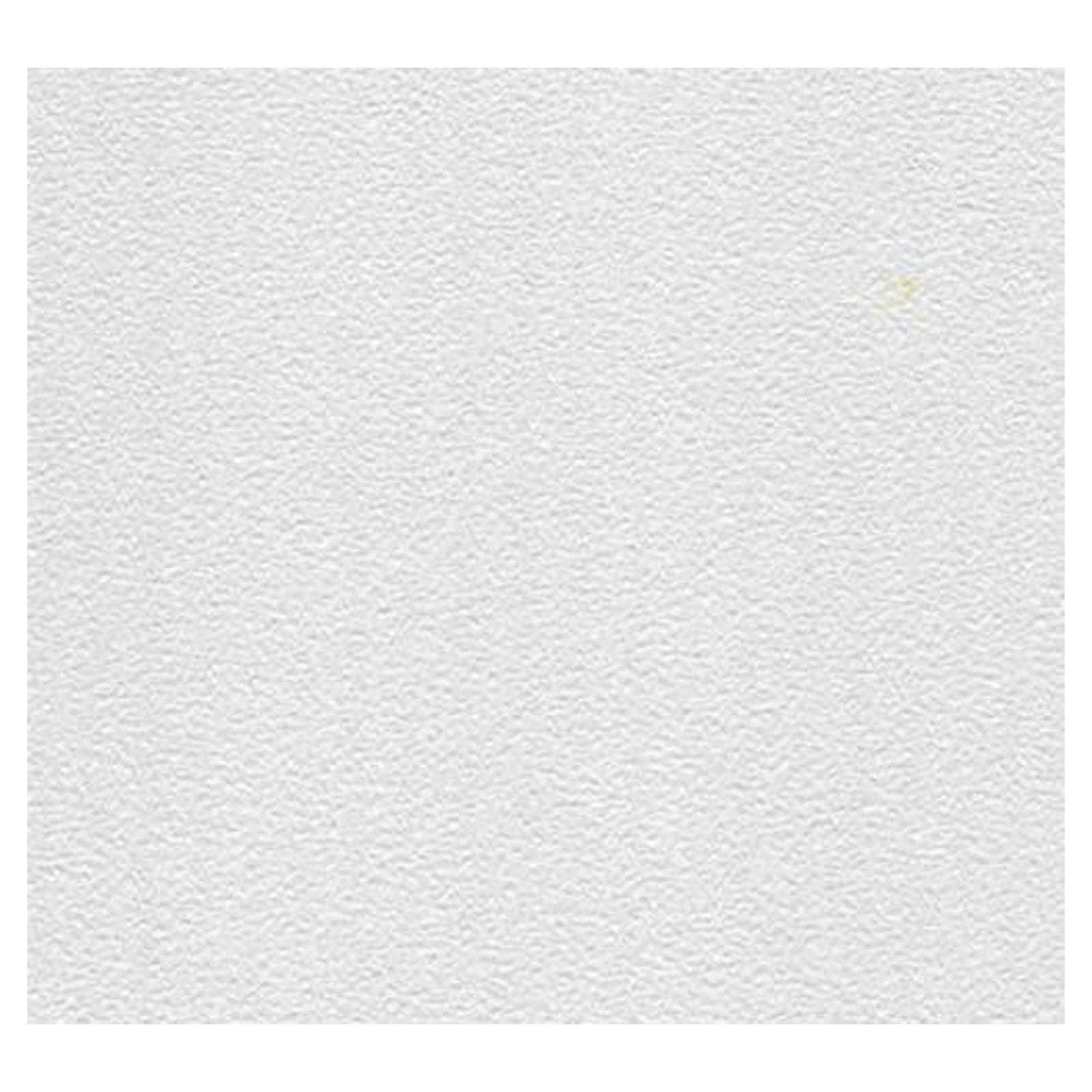 Tuile à plafond, Vinyle Rock, 2' x 4' (emballage de 4)