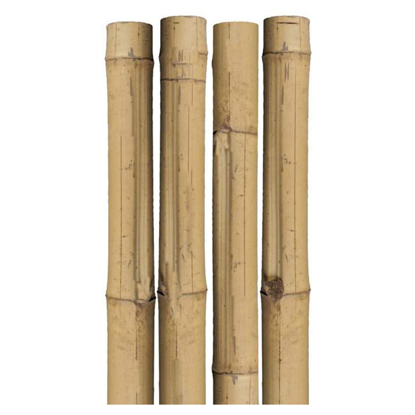 Tuteur de bambou, naturel, 3'