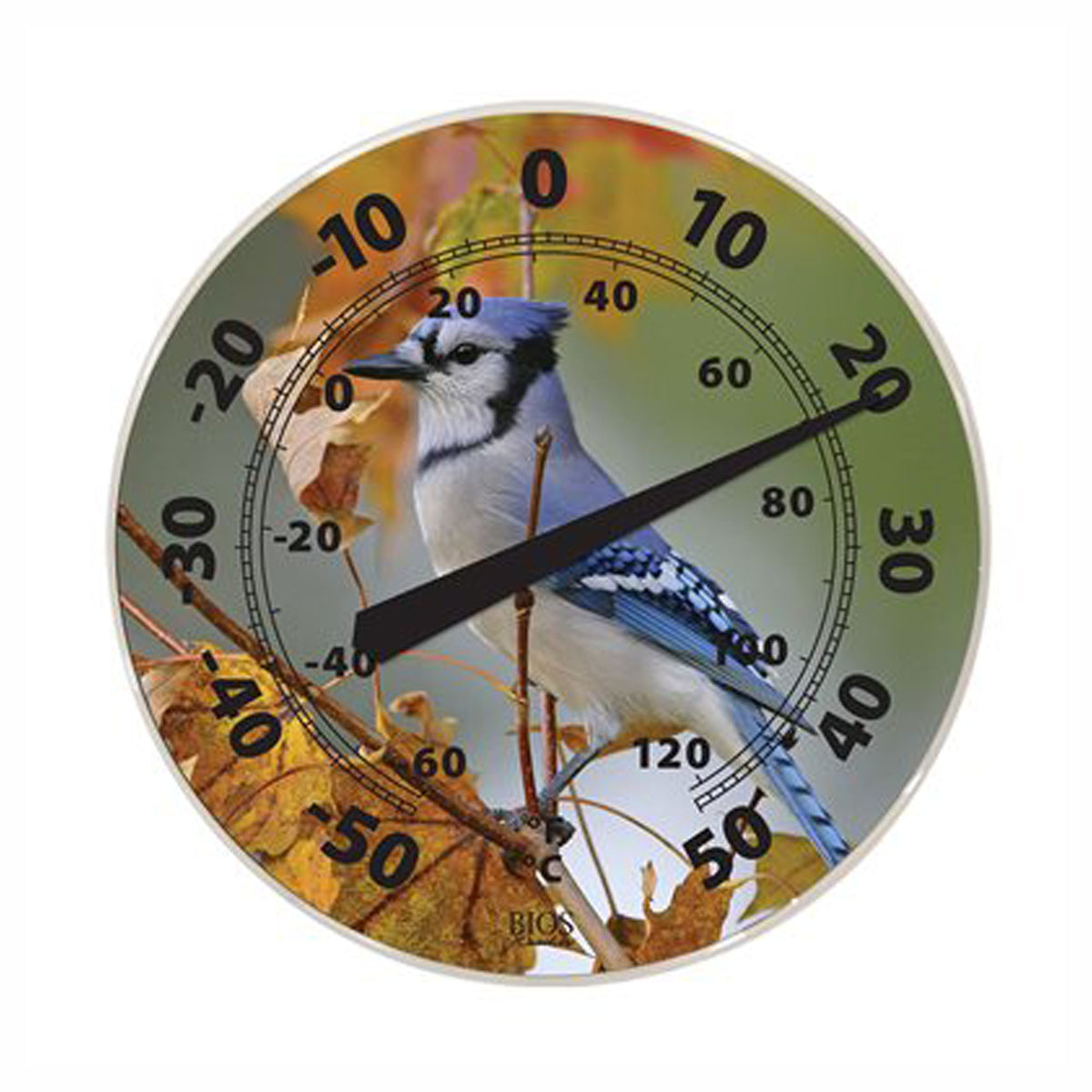 Thermomètre à cadran rond, extérieur, geai bleu, 12''