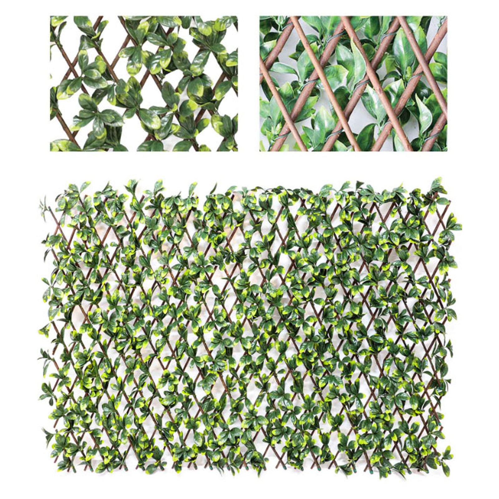 Treillis extensible avec feuilles de gardénia, 36'' x 72''
