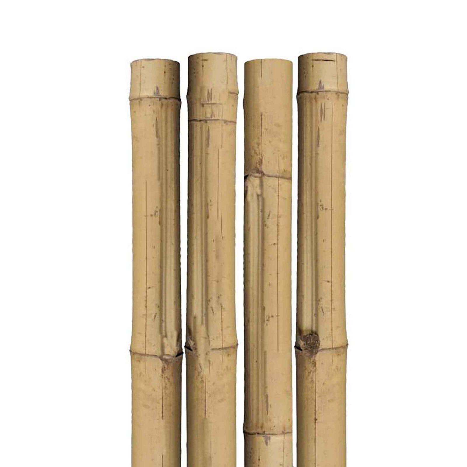 Tuteur en bambou naturel, 5'