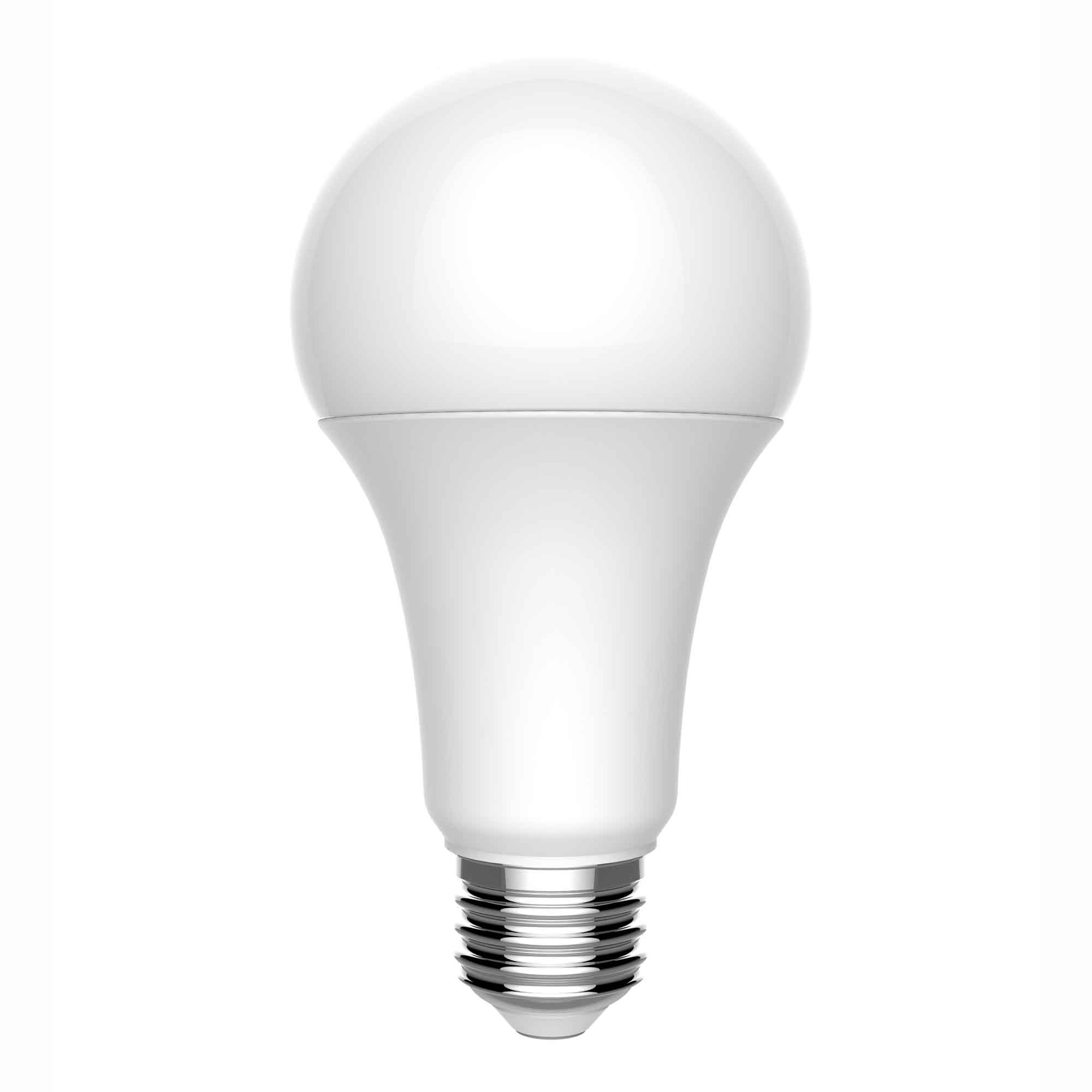 Ampoule DEL de haute performance A 19, 100 W (2 par paquet)