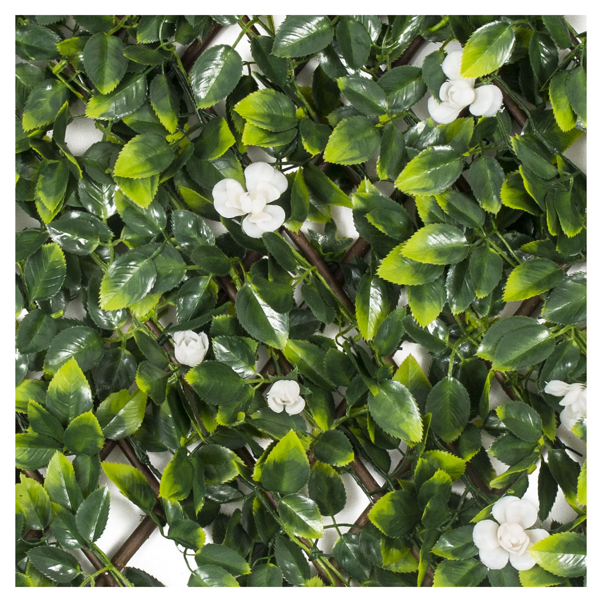 Treillis extensible, rose blanche, 36'' X 72''