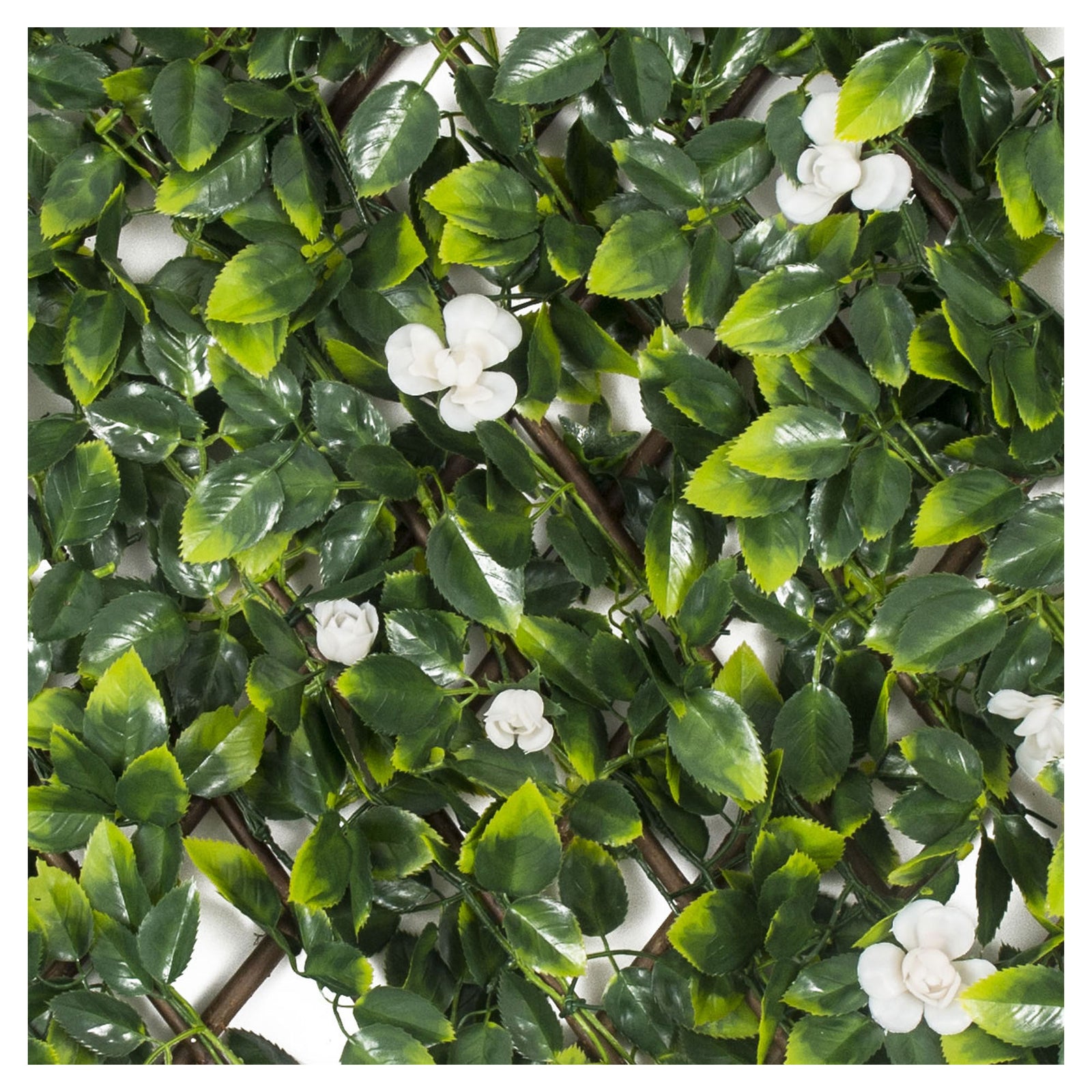 Treillis extensible, rose blanche, 36'' X 72''