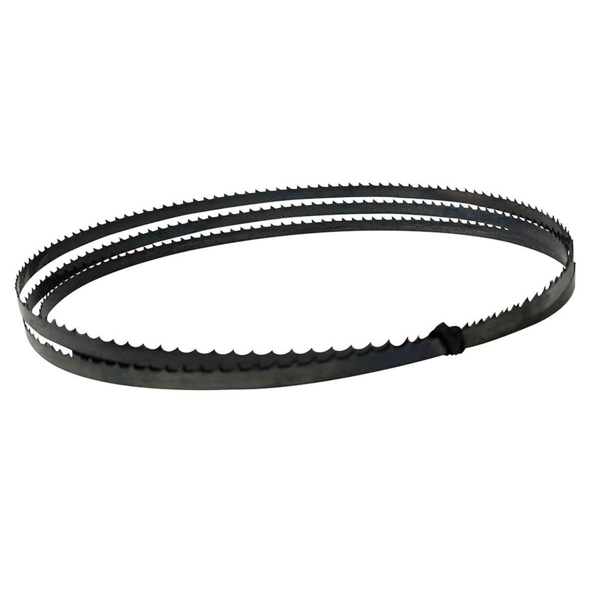 Lame pour scie à ruban pour le bois de 6 DPP, 59-1/2&quot; 