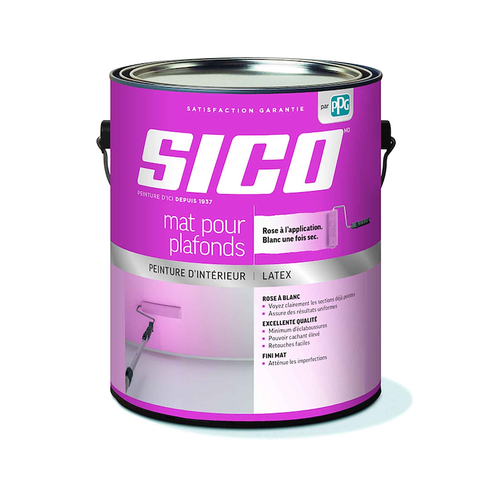 Peinture intérieure à plafond, rose, blanc naturel, 3,78 litres