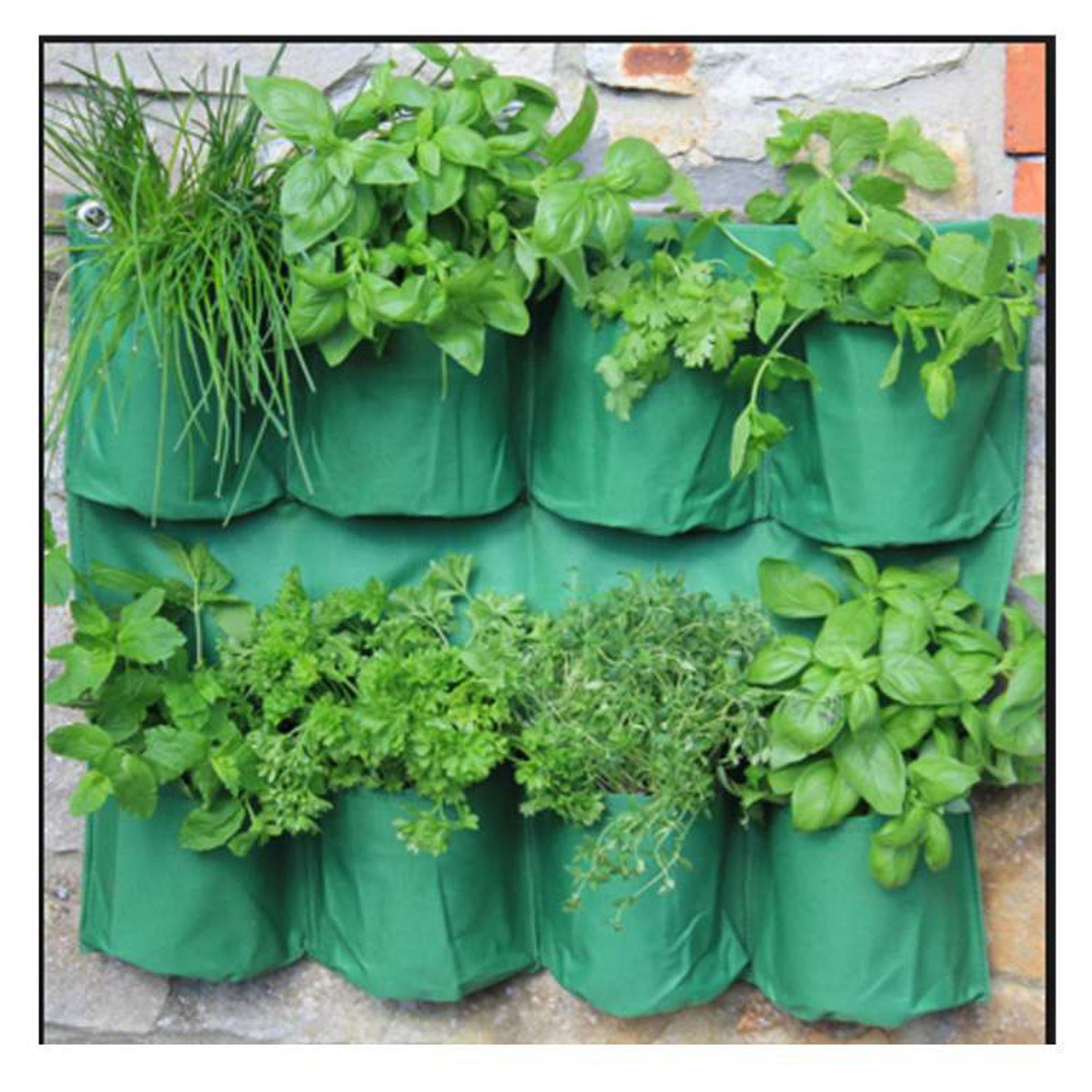 Jardinière mural pour fine herbes, 8 bacs