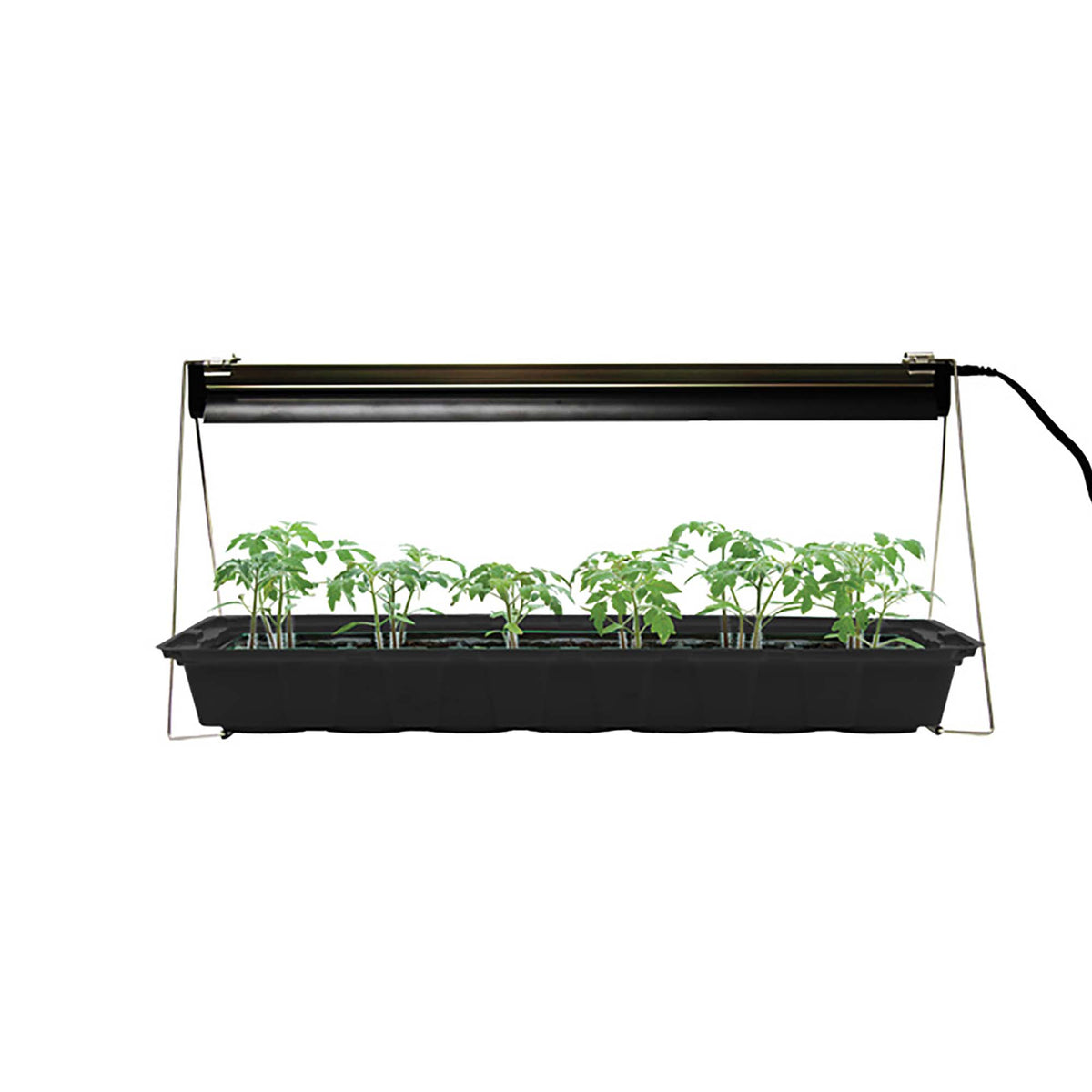 Lampe de croissance pour semis et boutures Jiffy, 24''