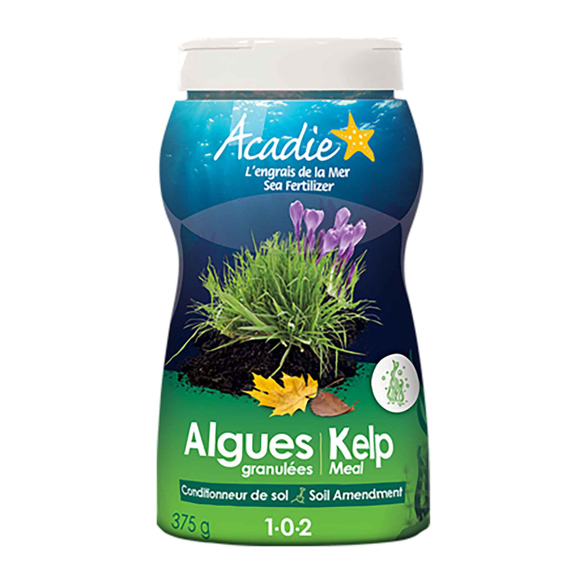 Mélange de graines de gazon classique, 10 kg