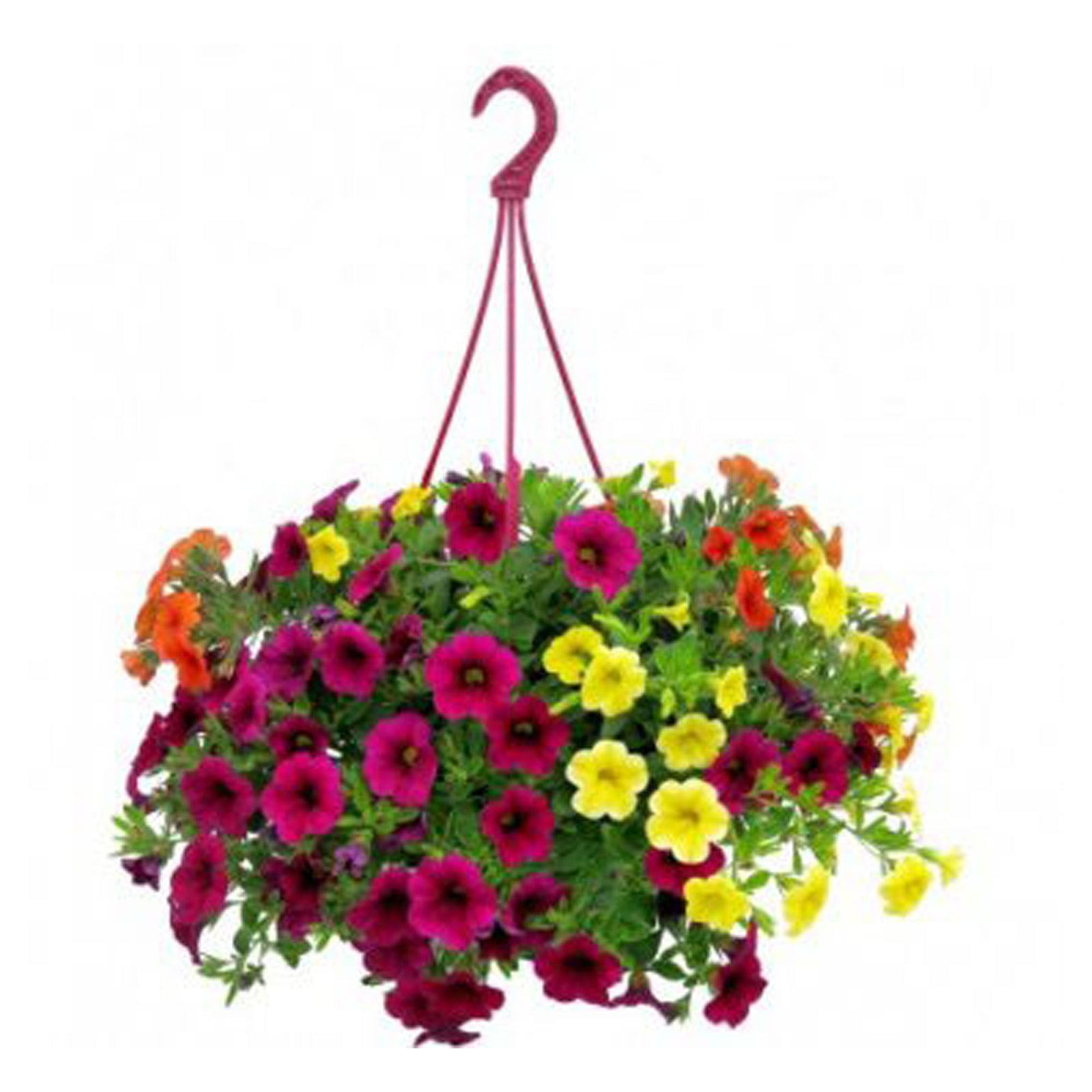 Jardinière de fleur, mixte, 12''