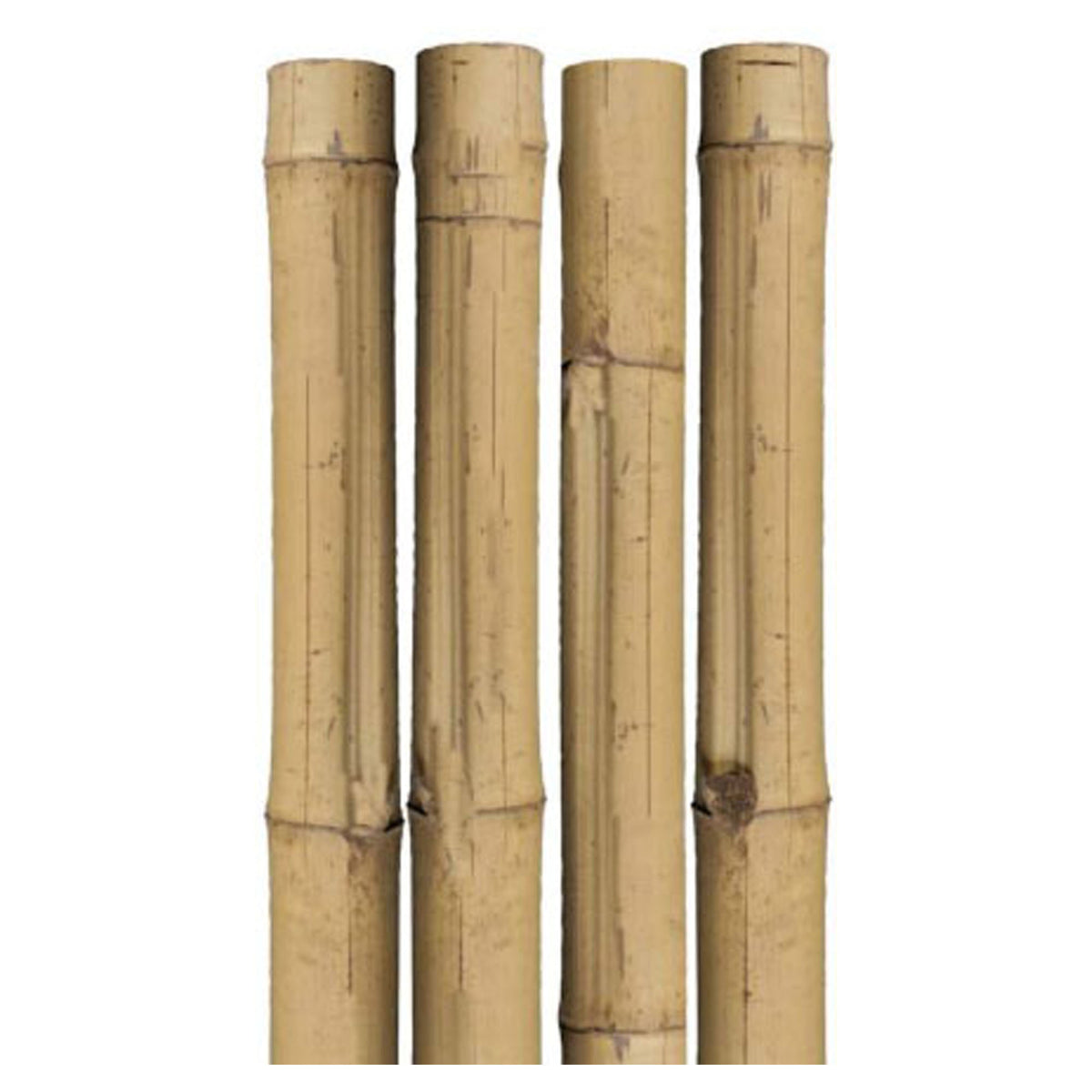Batonnets de bambou, 2 cm x 200 cm