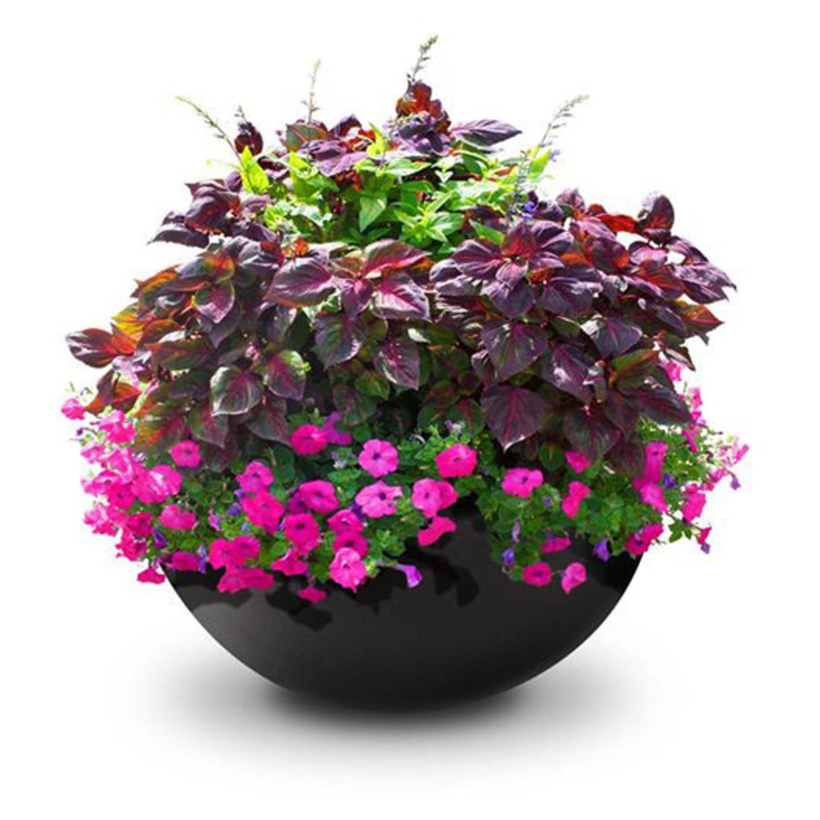 Jardinière de fleur, noir, 12''